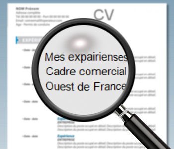 CV fautes d'orthographe