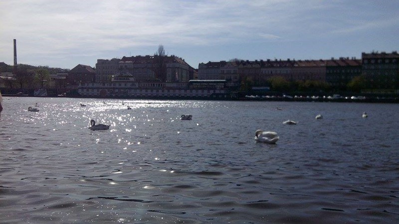 boire un verre à Prague en Erasmus