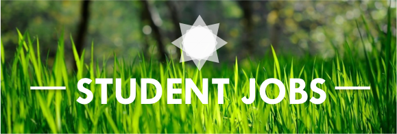 job etudiant sur student.be