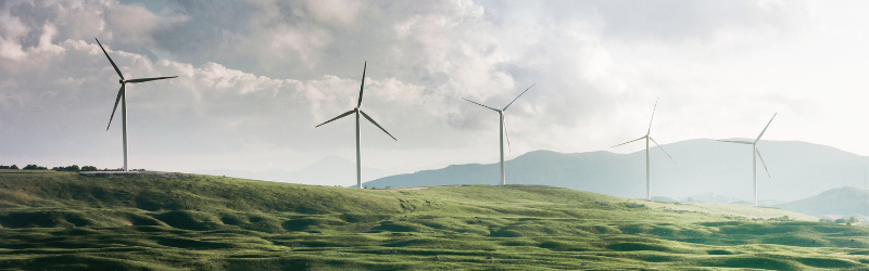 Corporate Social Responsibility heeft een enorme impact op een bedrijf als werkgever en de werknemers zelf.