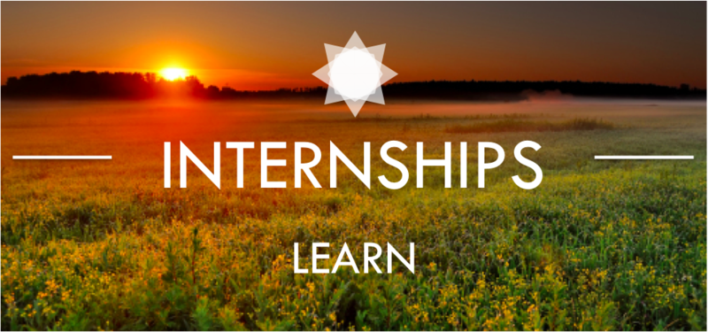 internships in Belgium