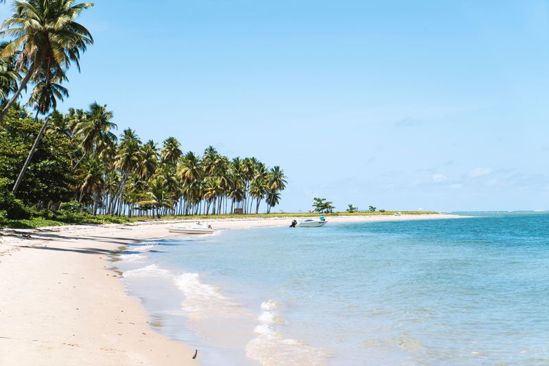 Hoeveel vakantiedagen heb je in je eerste werkjaar?