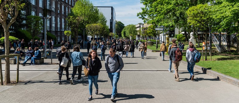 5 bonnes raisons pour étudier á Bruxelles