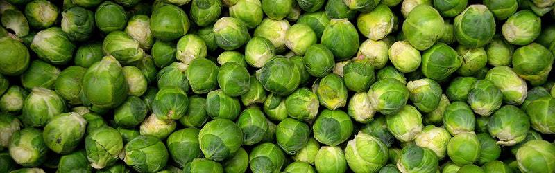 Op kot gaan in een Brussel. Een bruisend stad waar je niet steeds dezelfde cafés afgaat. 