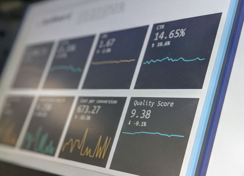 data scientist