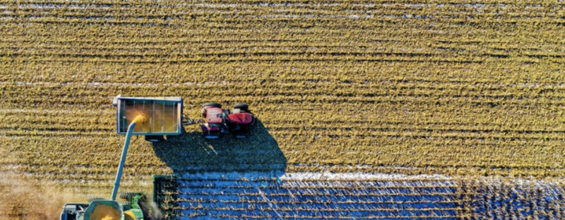 Que peut bien faire un ingénieur dans le secteur alimentaire? 