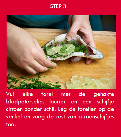 Vul elke forel