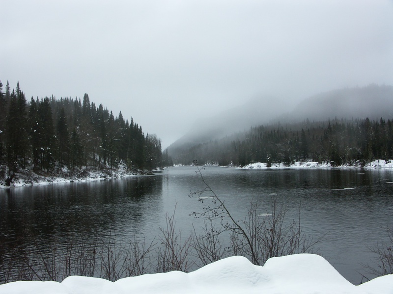 Balade Hivernale au parc de la Jacques-Cartier